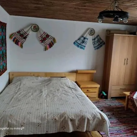 Casa Sasilor Hébergement de vacances