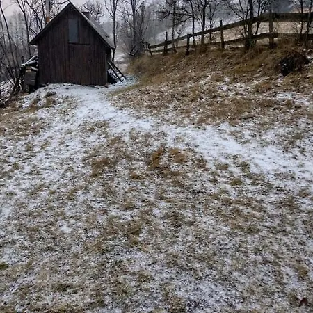 Casa Sasilor *