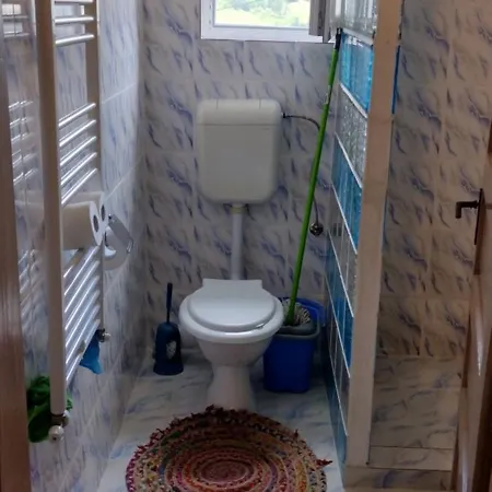 Casa Sasilor Hébergement de vacances *